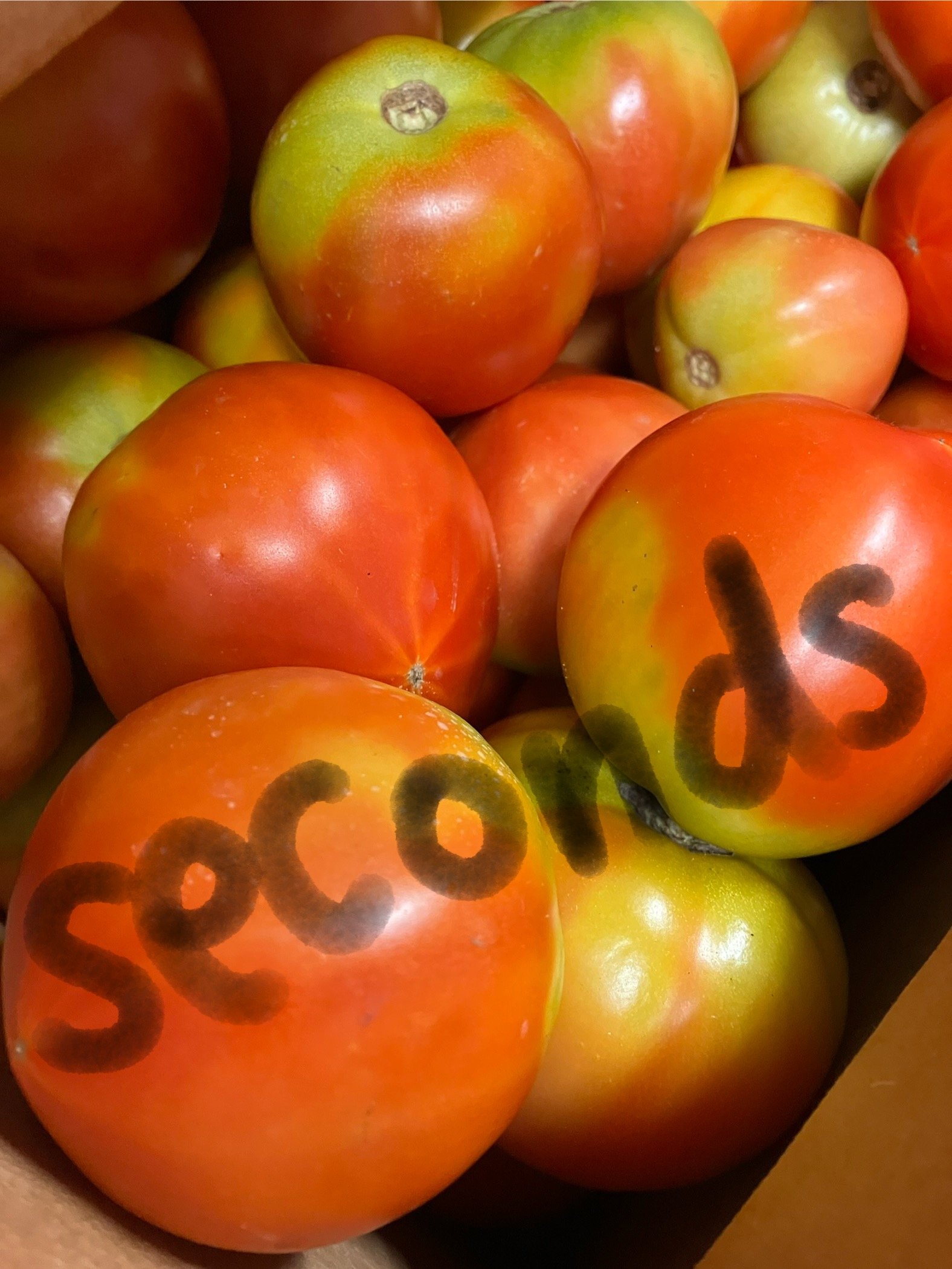 tomatoes-seconds.jpg