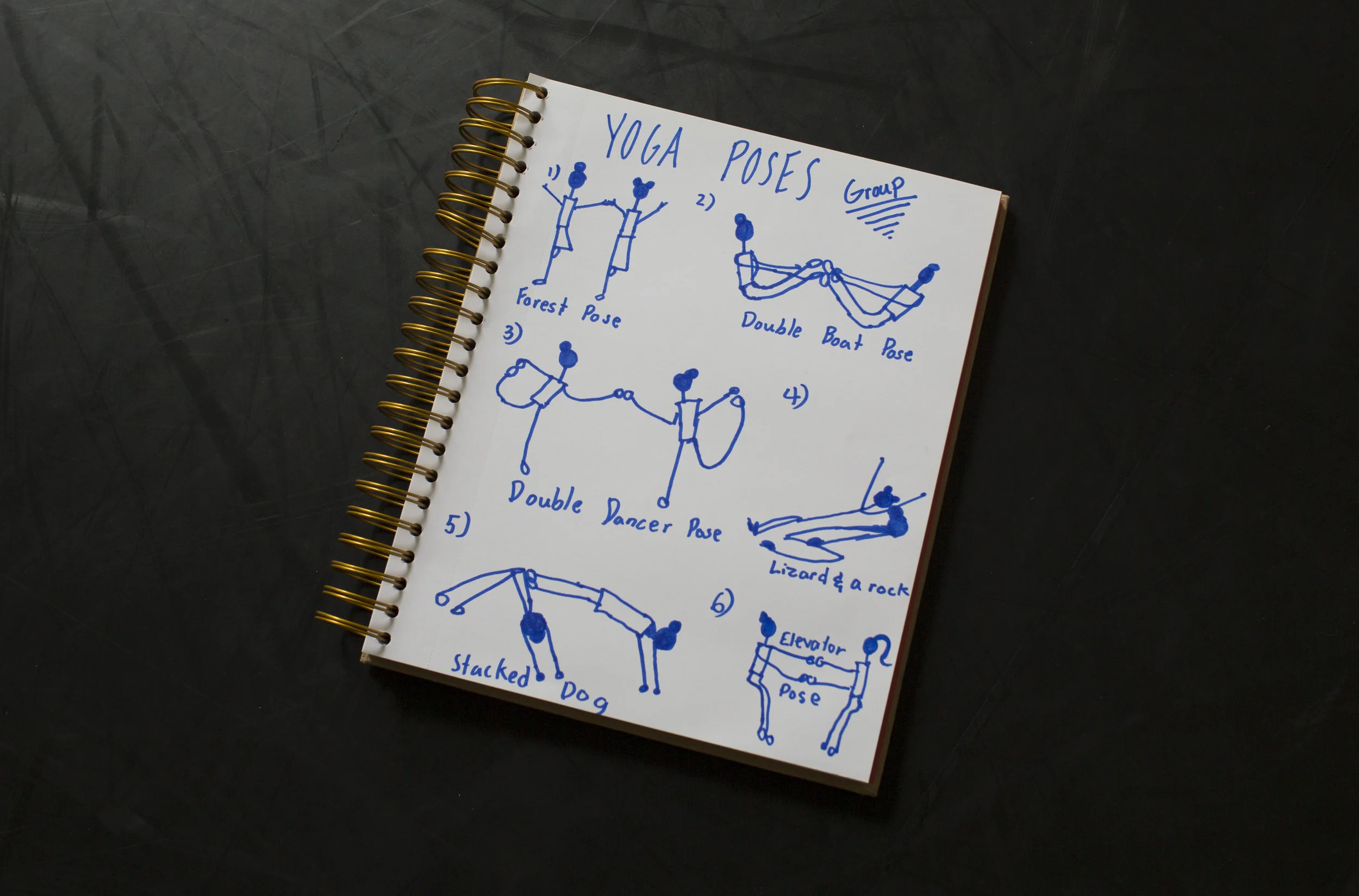 keep a notebook on your teachings, and kids can keep journals too....even creating sequences!