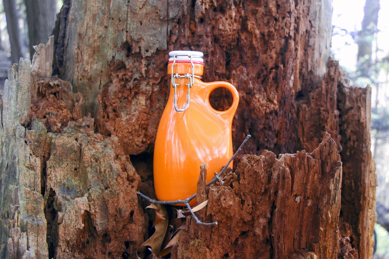32+in+a+tree.jpg