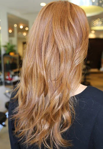 2016 Color Trends