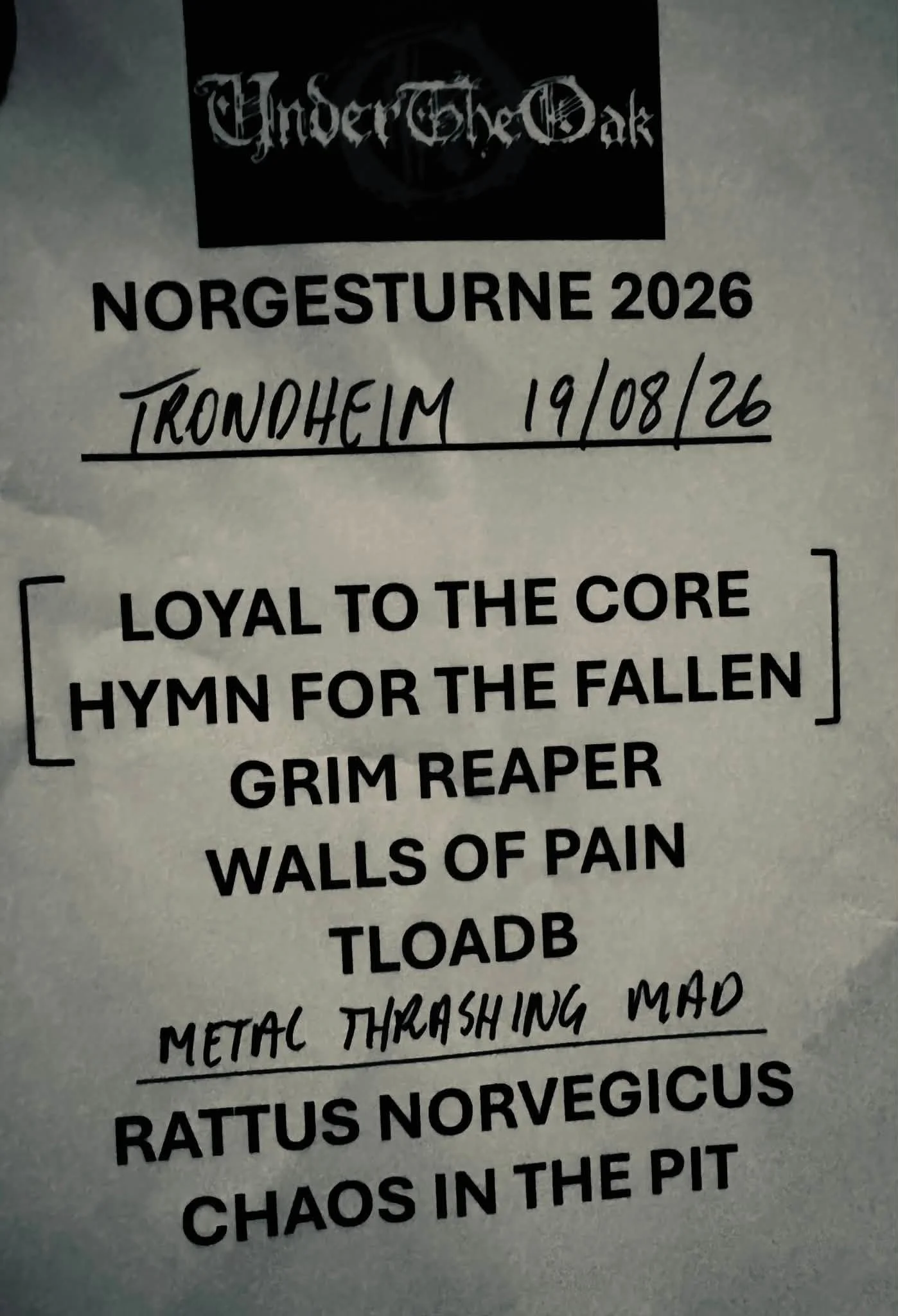 King of Thrash 12.jpg