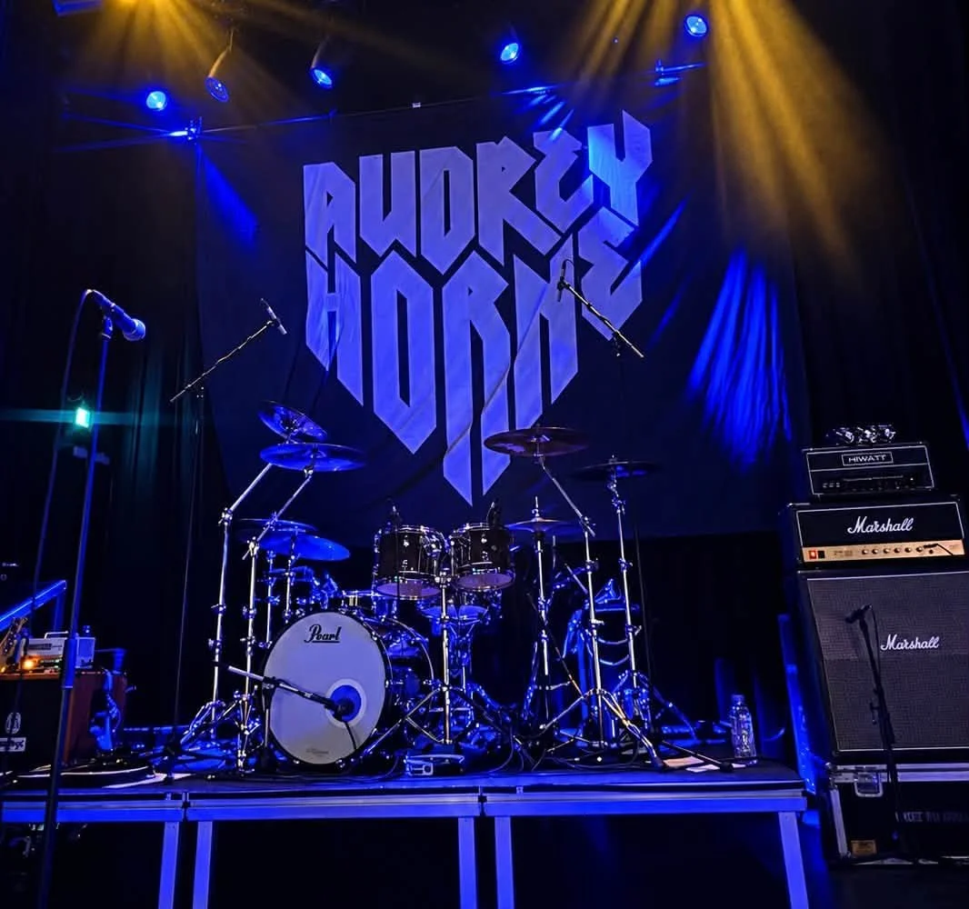 Audrey Horne Berlin 24.oktober 14.jpg