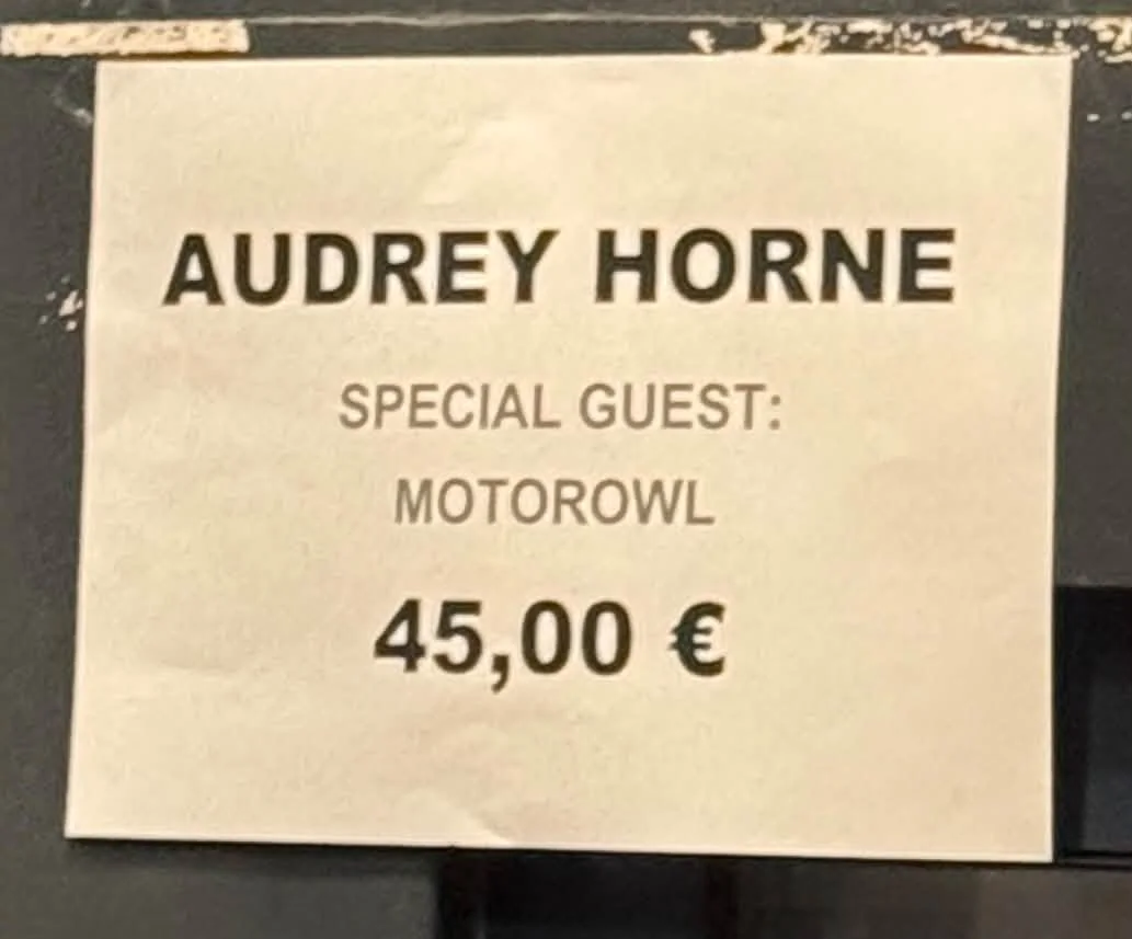 Audrey Horne Berlin 24.oktober 15.jpg