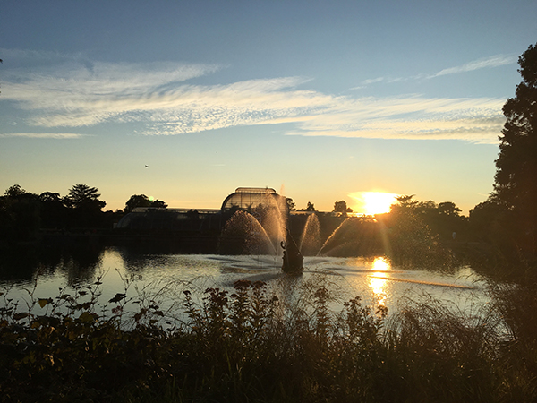 Sculpt_at_Kew_2017_Kew_Gardens.jpg