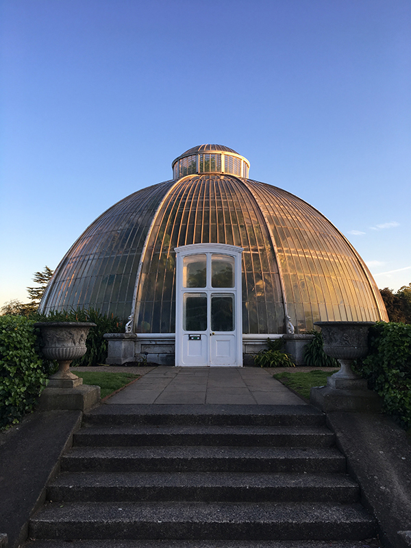Sculpt_at_Kew_2017_Palm_House.jpg