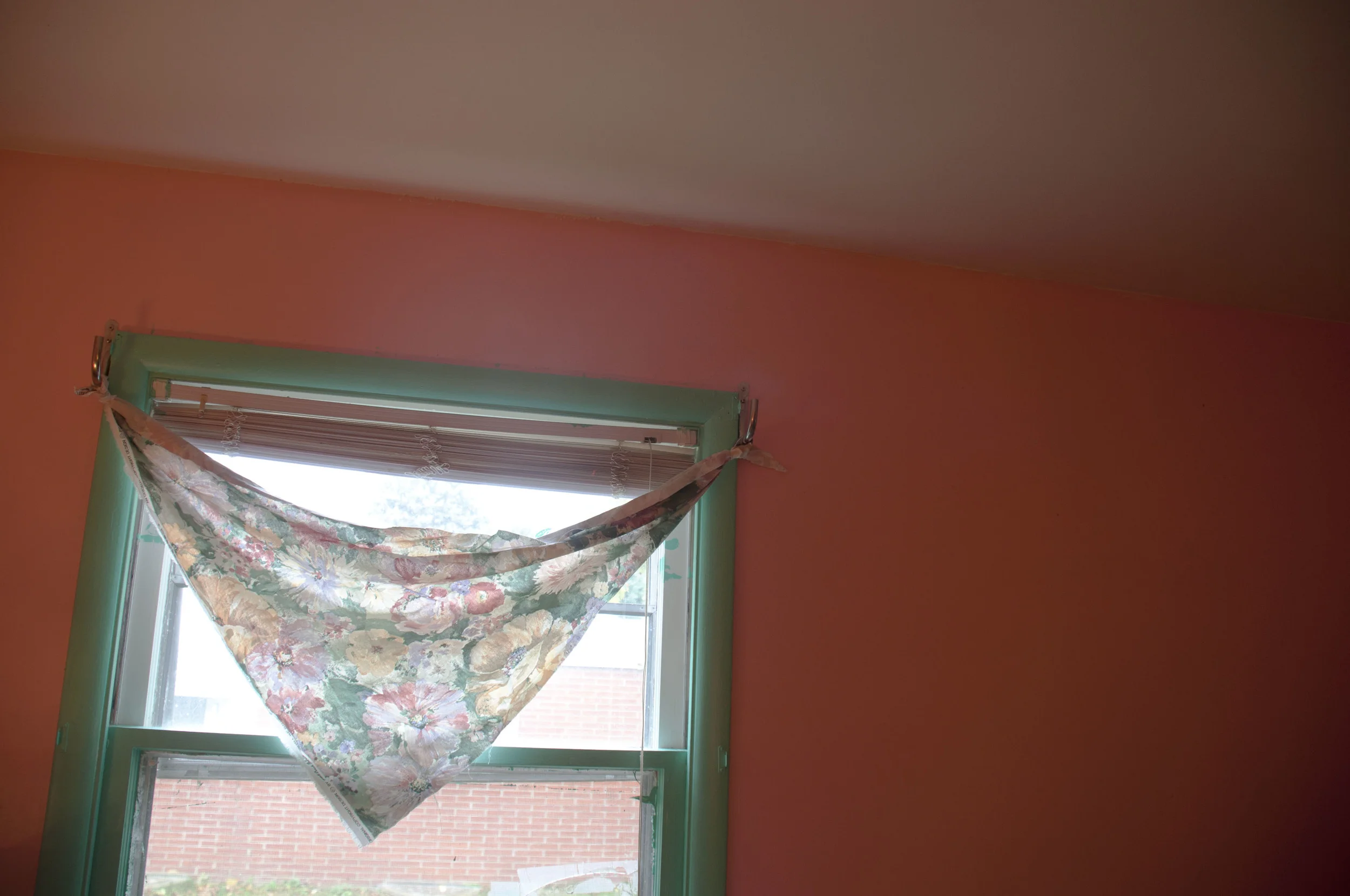 DSC_0074.jpg