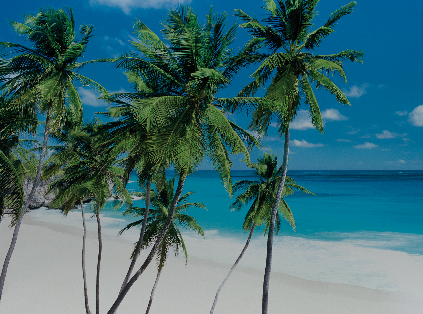 barbados_image_5.png