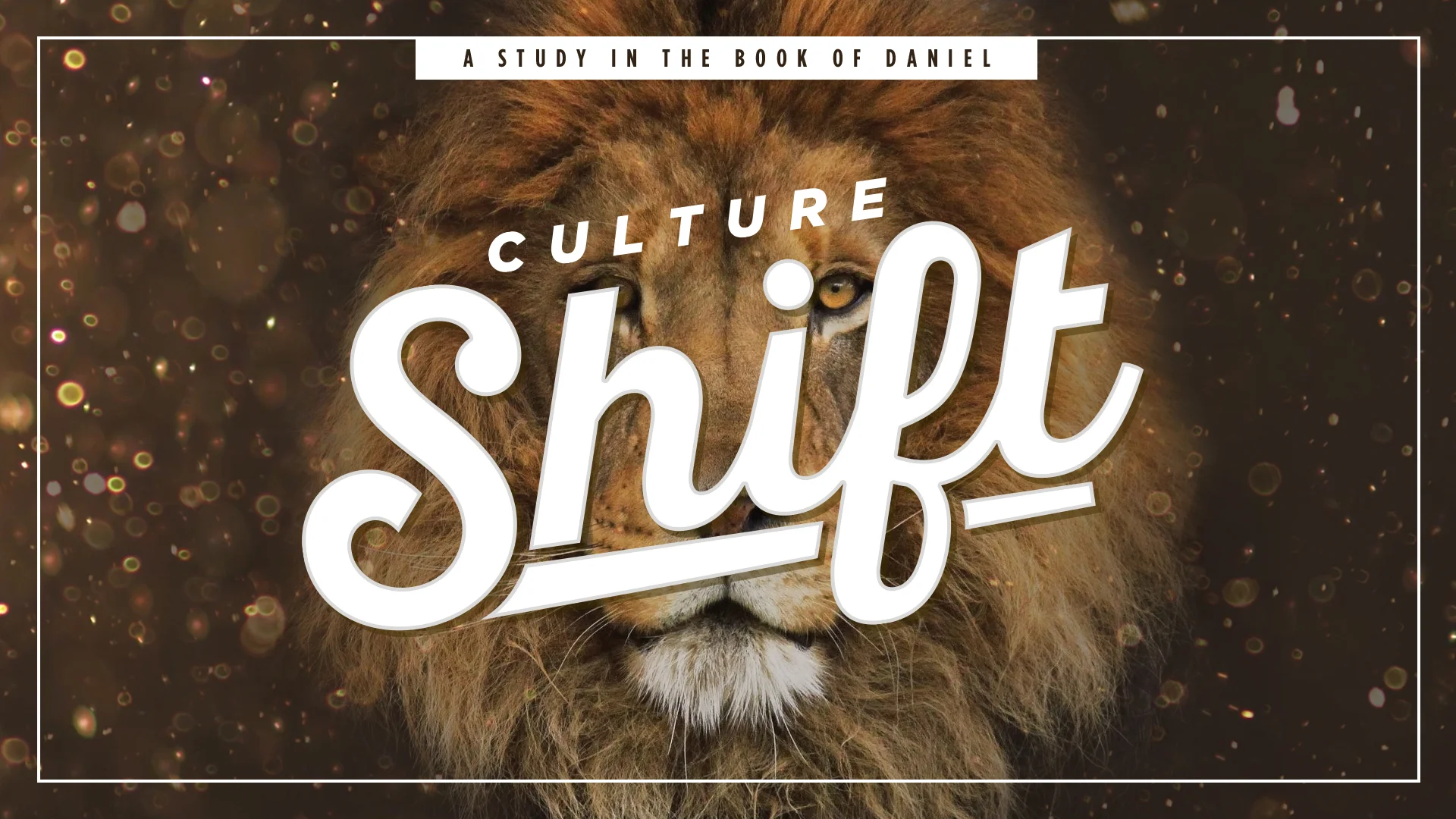Culture Shift - Full.jpg