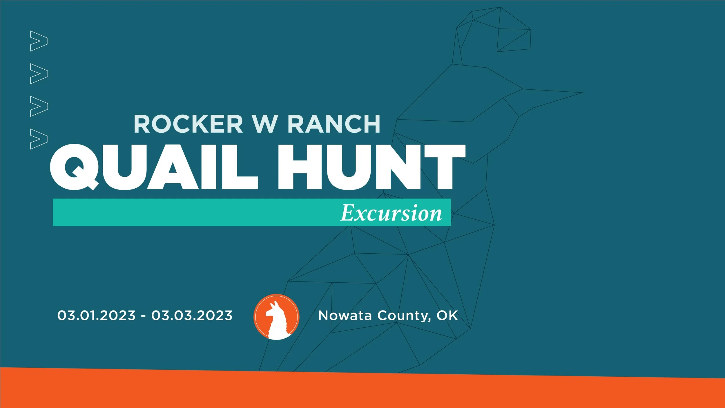 Quail Hunt Excursion