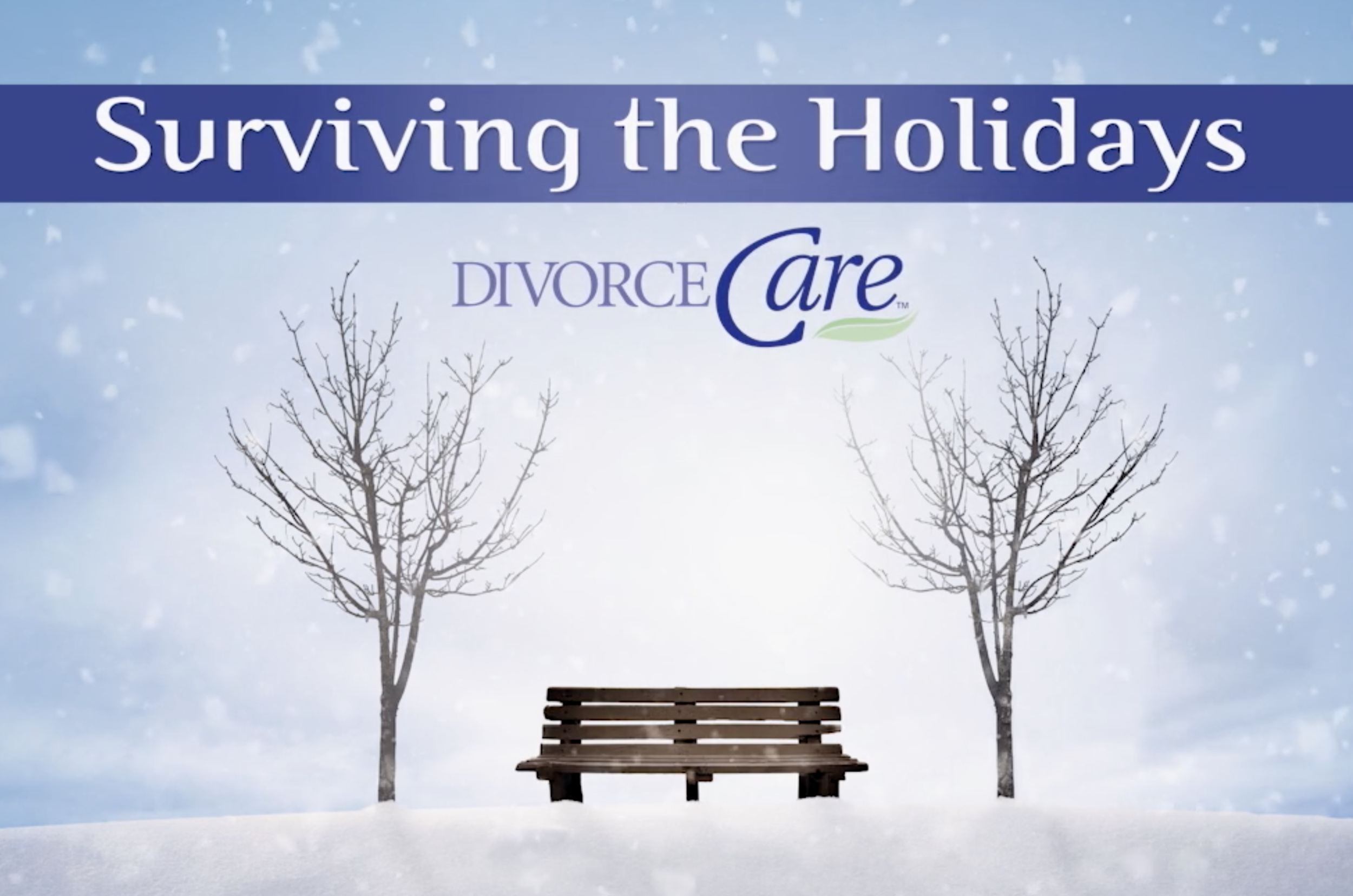 Surviving the Holidays - DivorceCare