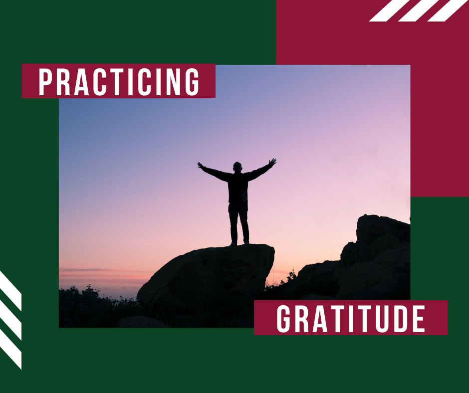 Practicing Gratitude (Colossians 3:1-17) episode artwork