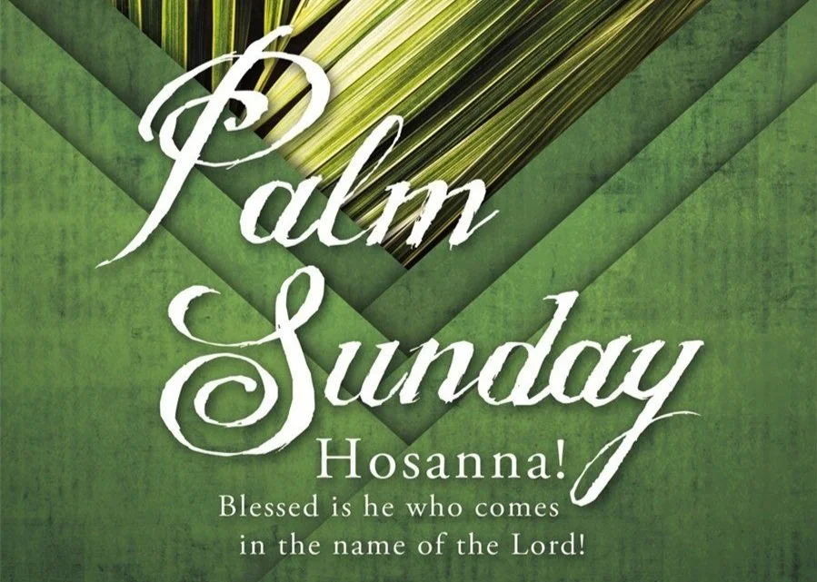 The Triumphal Entry (Matthew 21:1-17) episode artwork