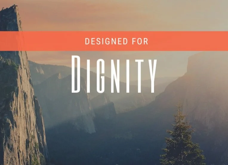 Design for Gender (Genesis 1:26-28; 2:18-24) episode artwork