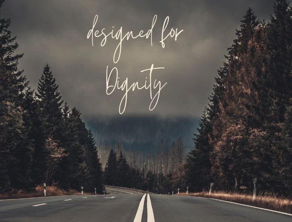Designed for Community (Genesis 1:26-27; 2:18-25) episode artwork