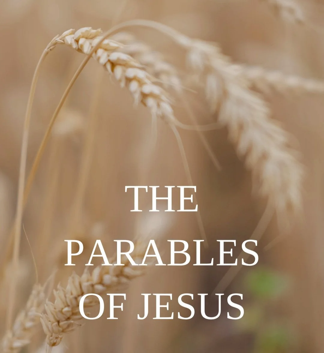 The Sower, The Seed, And The Soil (Matthew 13:1-23) episode artwork