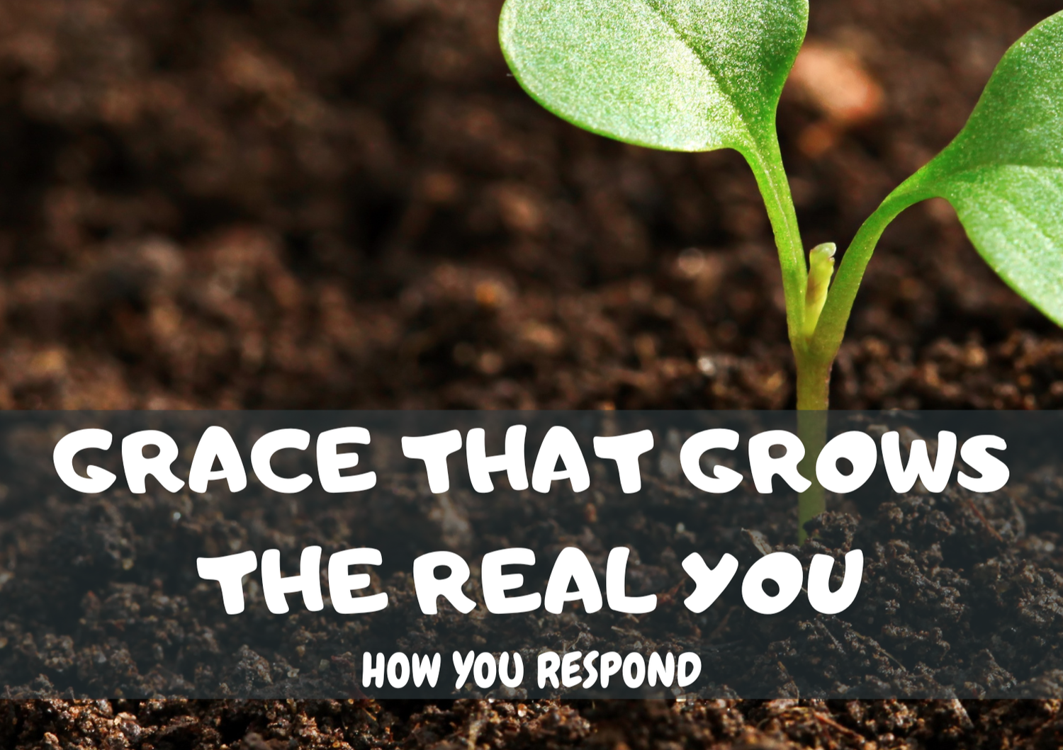 Fellowship: Encouraging in Grace (Acts 2:42-47; 1 John 1:1-3) episode artwork