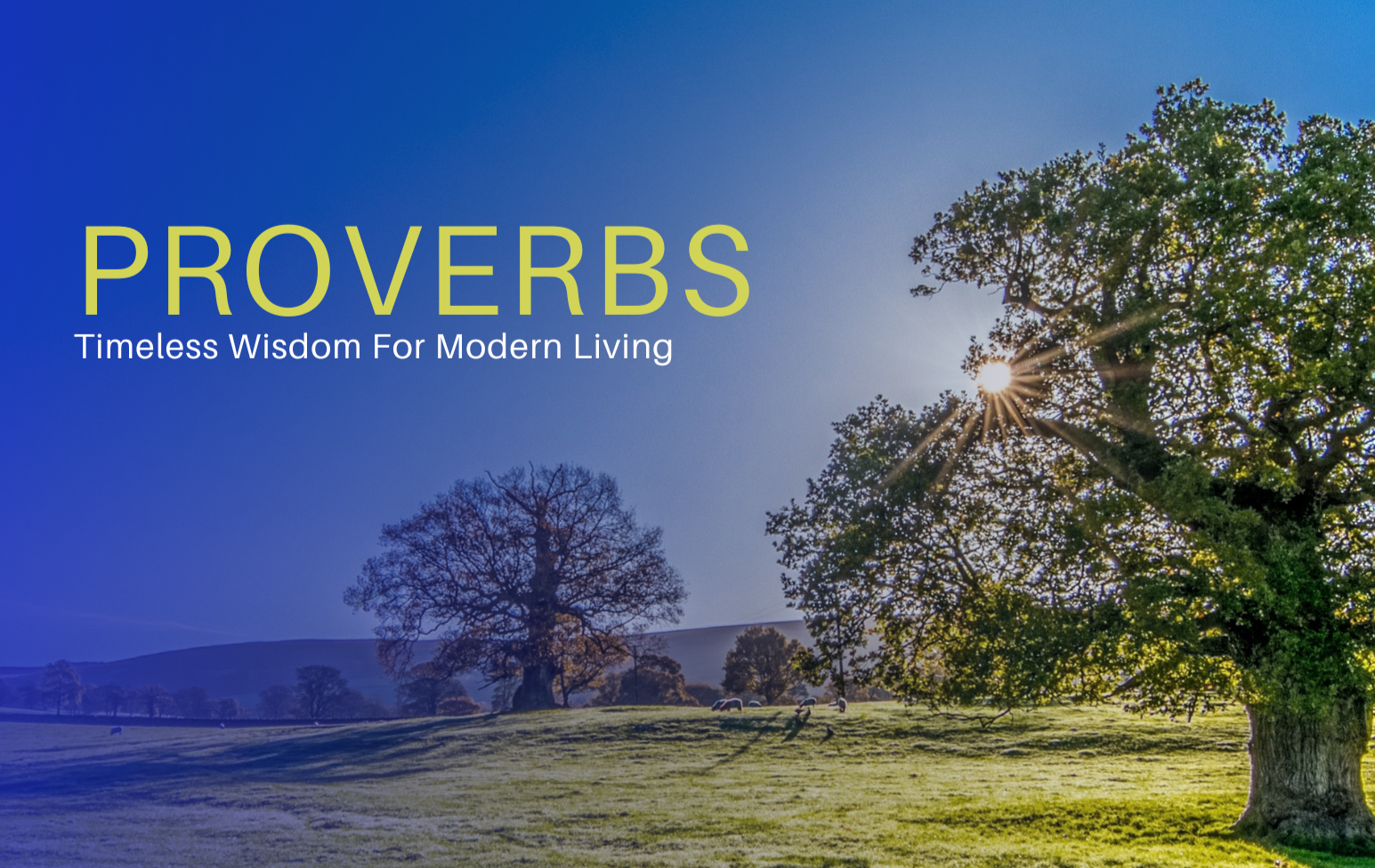 Wisdom in Justice (Proverbs 8:20; 12:5; 29:4; 11:1; 21:3; 29:26)