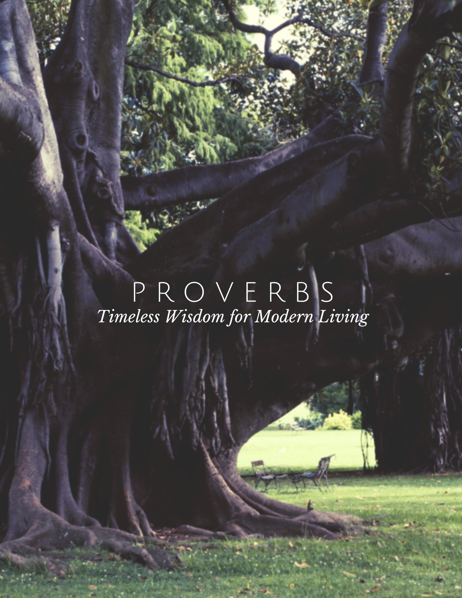 Wisdom in Fighting Temptation (Proverbs 5) episode artwork