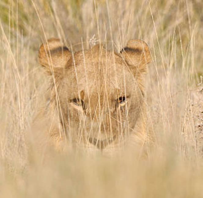 (Wisdom in Money) Proverbs 31-4; 10:4-5; 11:1,4, 24-26; 13:23; 14:31;  15:16; 18:10-11; 19:17; 22:9, 16; 28:6, 8, 11, 27; 30:7-9; Ecclesiastes 5:10-15)