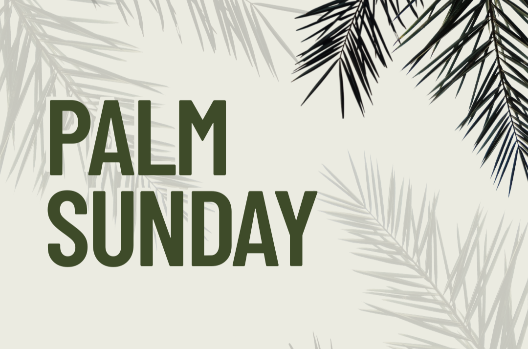 A King Like No Other (Luke 19:28-48)