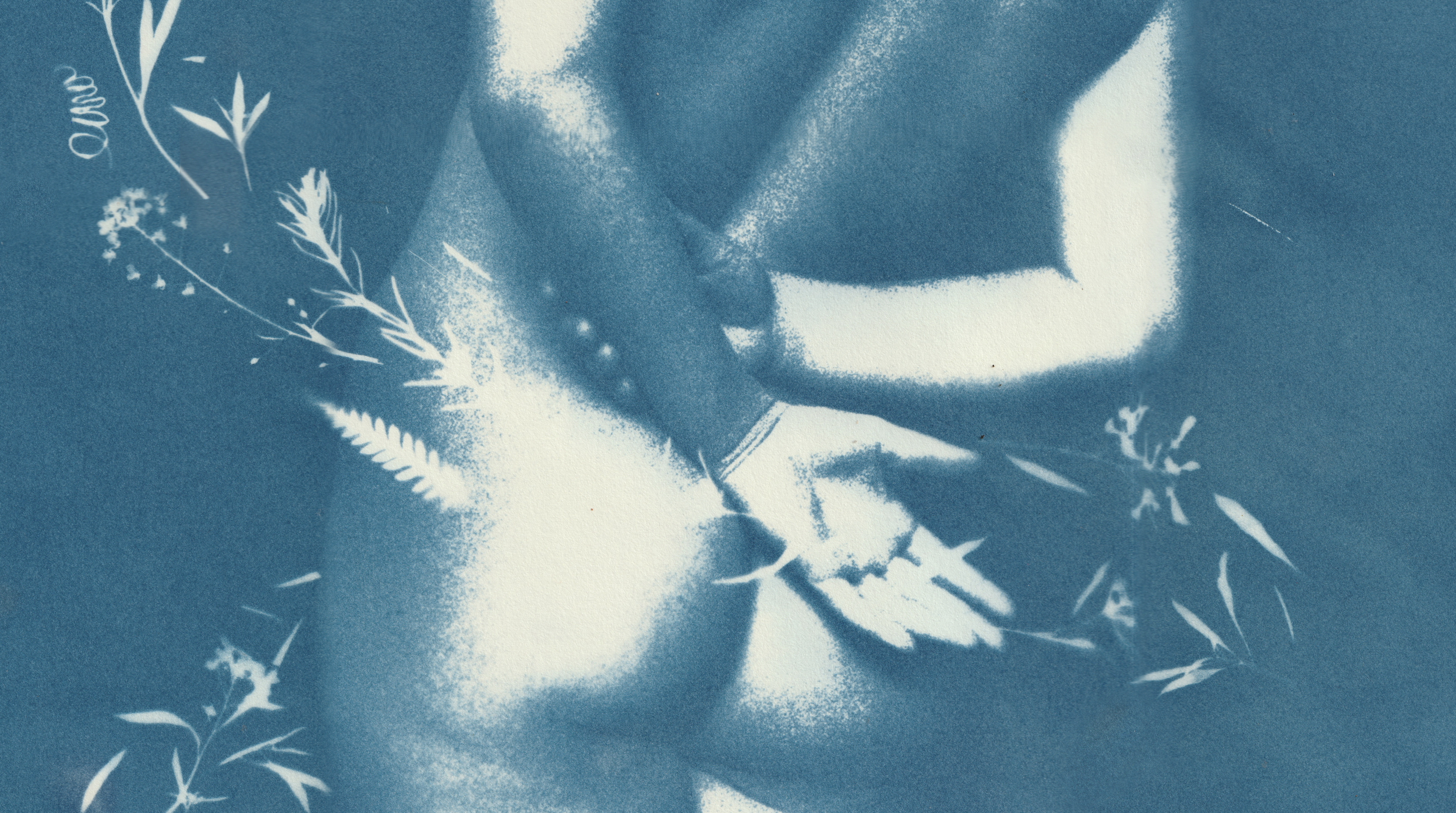 Screen Shot 2024-07-18 at 12.01.23.png