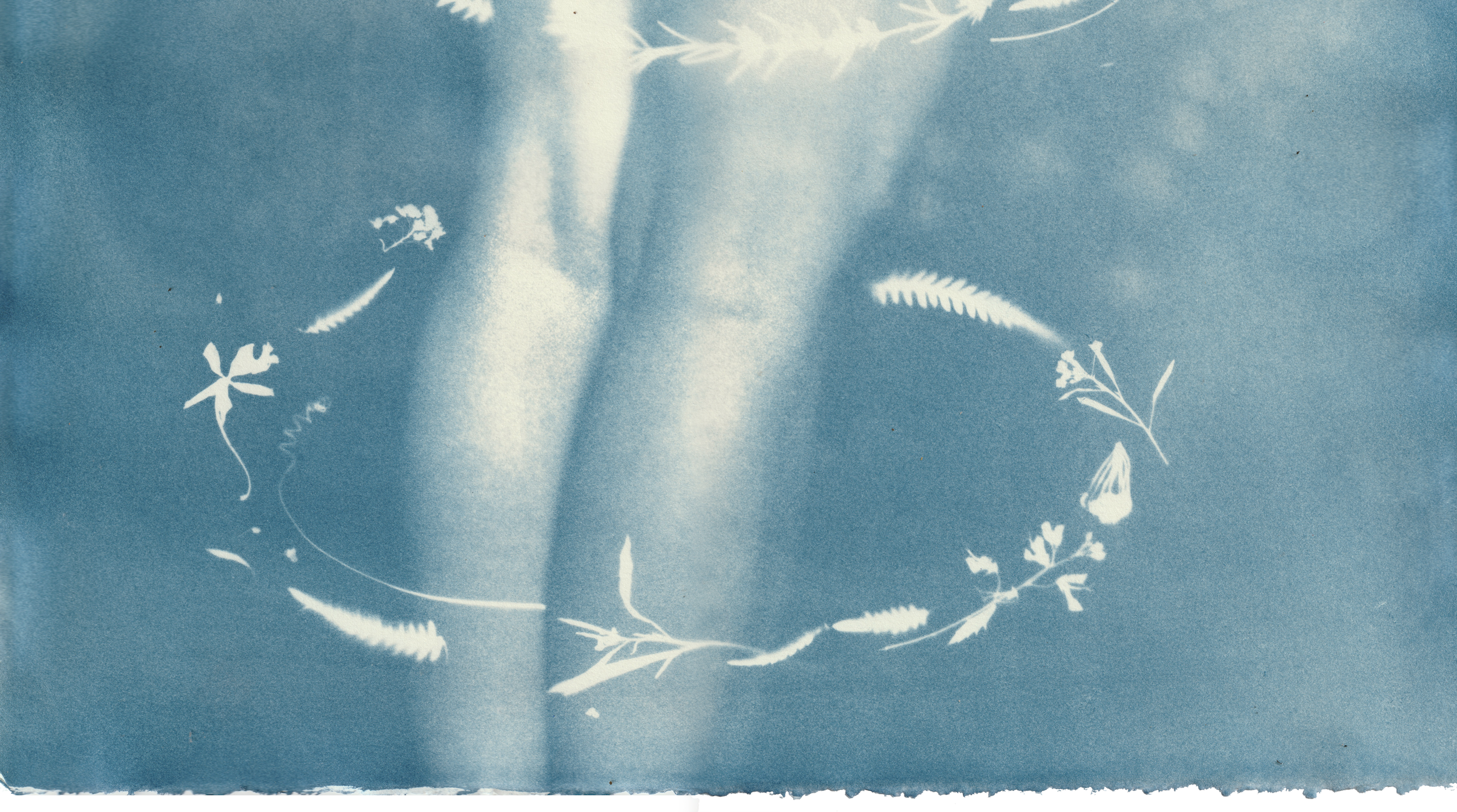 Screen Shot 2024-07-18 at 12.06.22.png