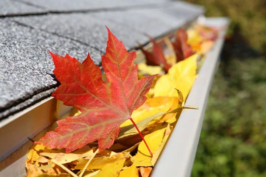 fall_home-gutter.jpg
