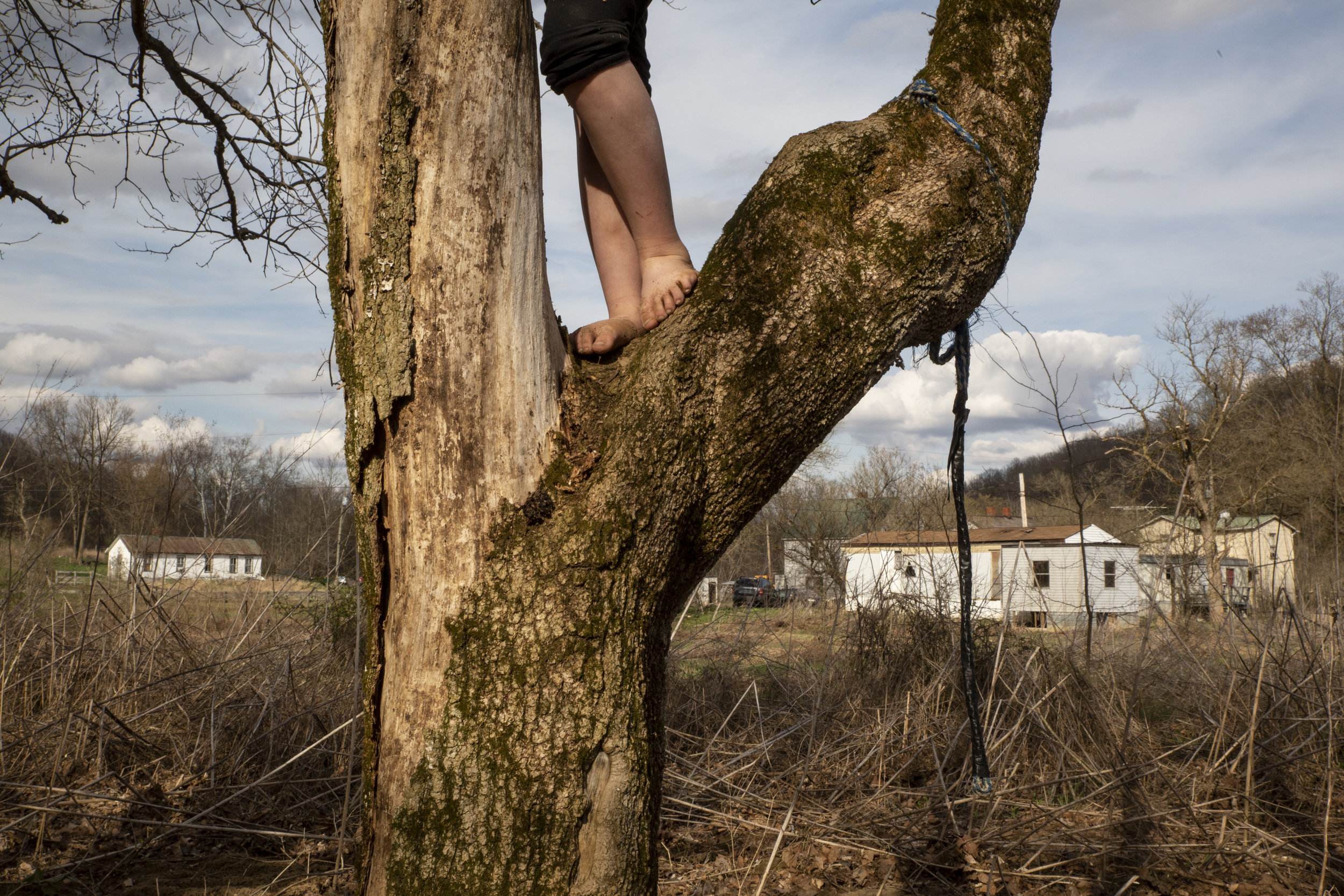  Brooklyn Roof, 6, climbs a tree near her home—a rented trailer in Sharpsburg, Ohio. The Roof family has resided in Sharpsburg for nine years, but worry about their future because the community lies in a flood zone. 