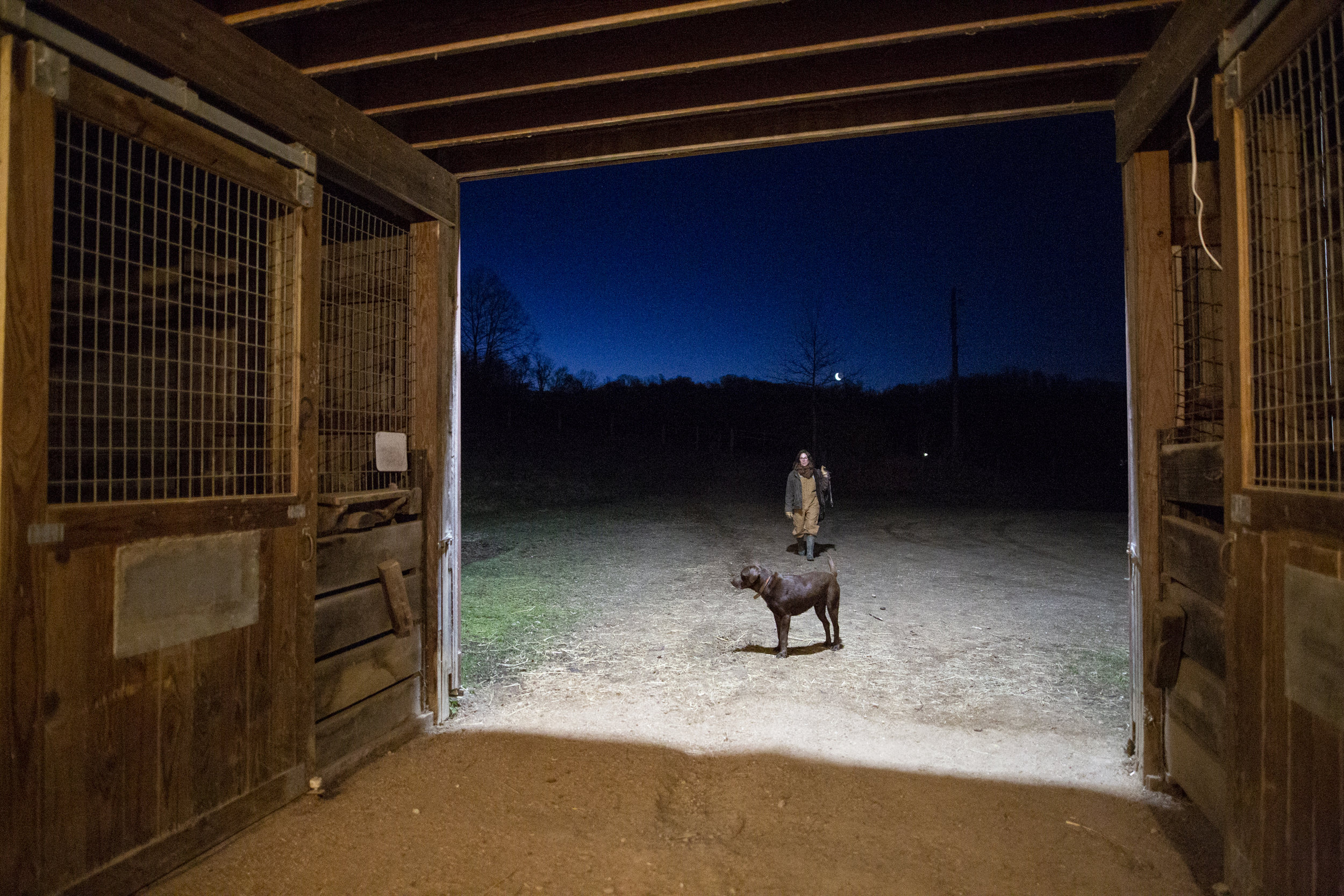  Ashley Ditty walks back to the barn with her dog, Cleveland, after releasing horses in the morning at Looking Glass Farm. Ashley and Jeff Ditty named their farm after its original owners, the Glass family, in order to honor their legacy. 