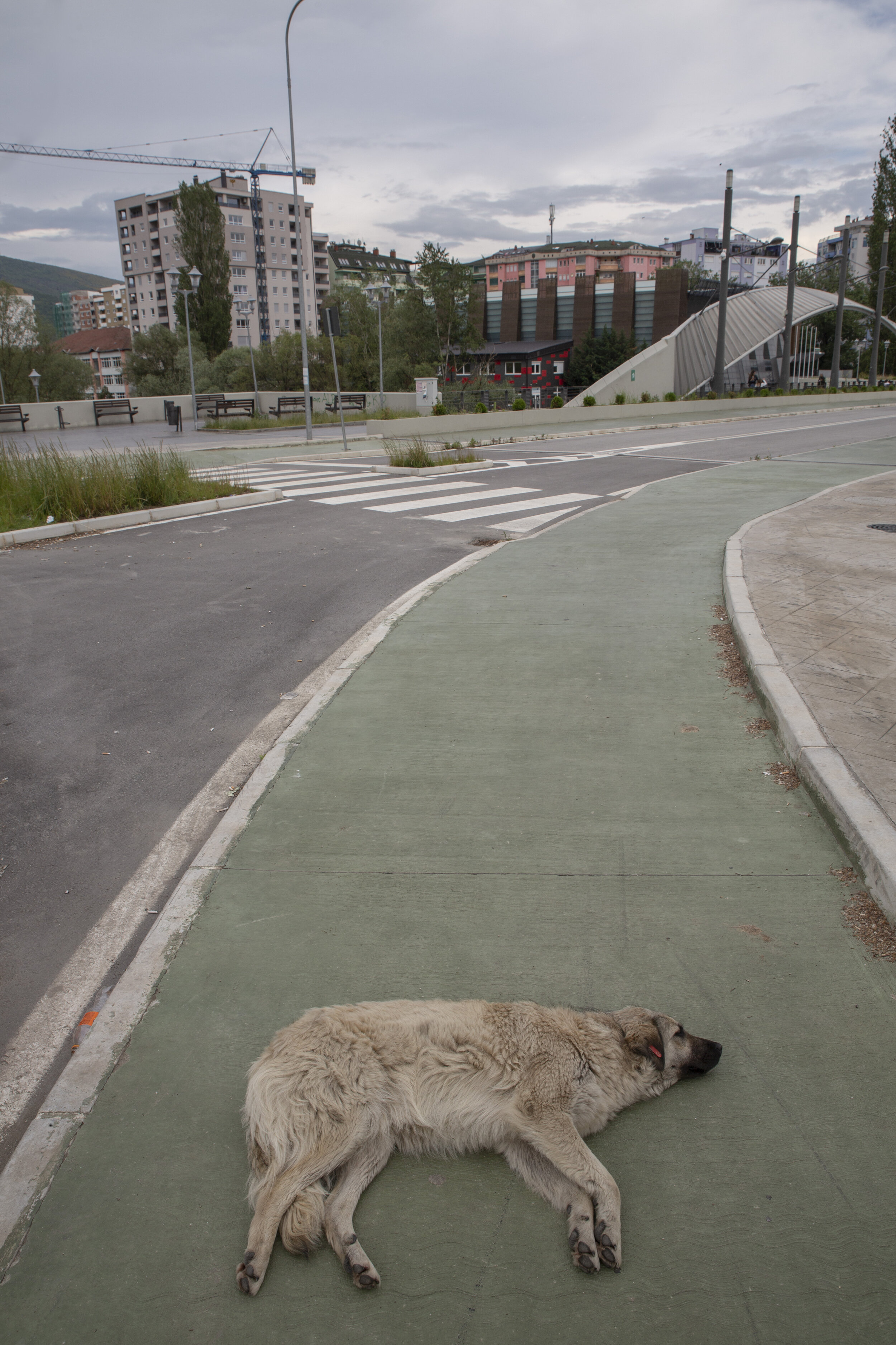  Once the site of the most ethnic violence in Mitrovica, this bridge reopened in 2017 and is now mainly a site for foot traffic and sleeping dogs. It is guarded by international peacekeepers, though residents on both sides express a lack of confidenc