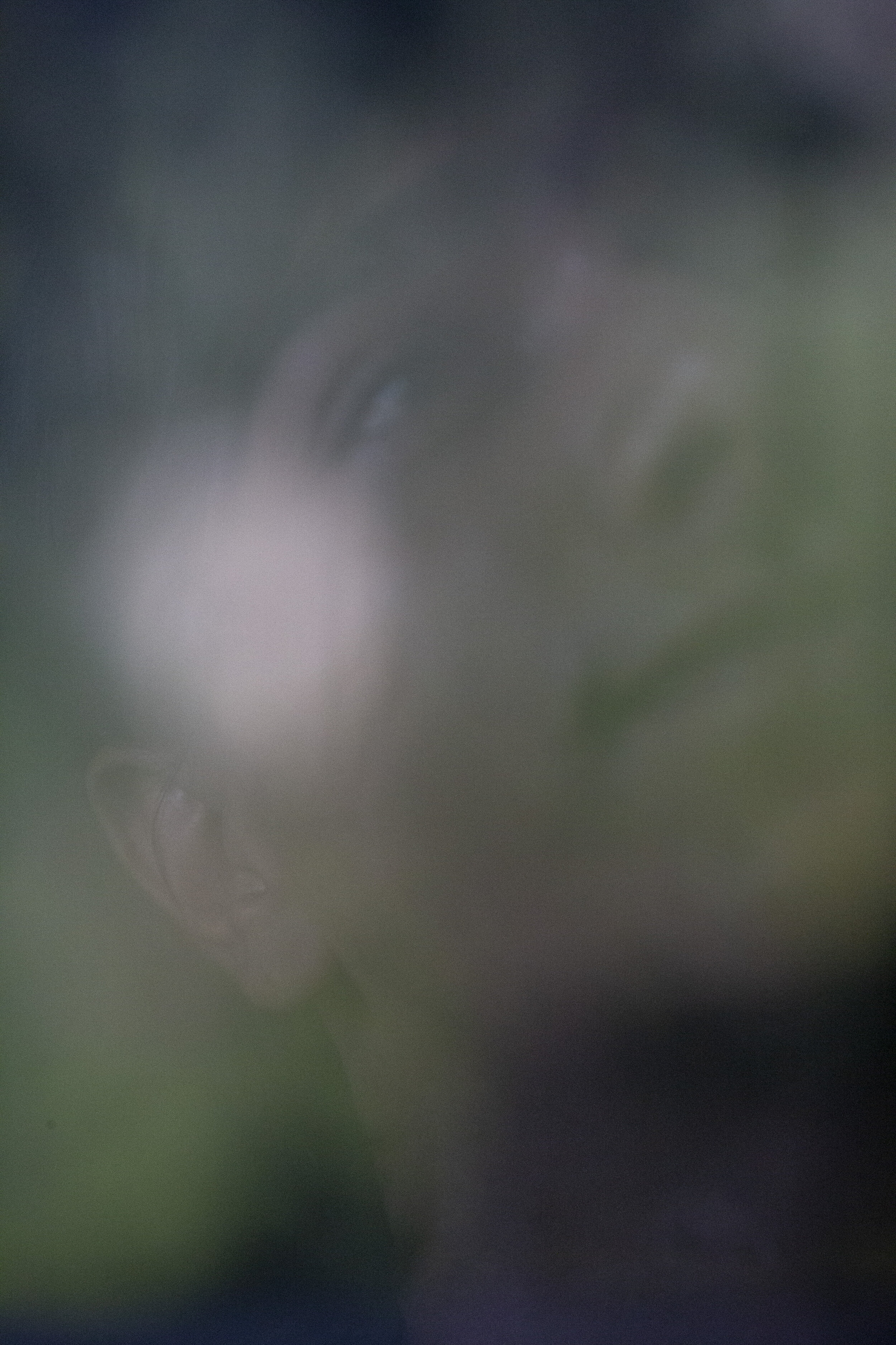  Nikola Drazevic, 18, looks through his bedroom window in north Mitrovica. Born to a Roma family in Mitrovica two years after the war, Nikola was adopted by a Serbian couple in the north when he was six years old. Although they live in the same city,