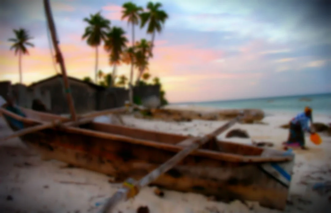 First steps to literacy