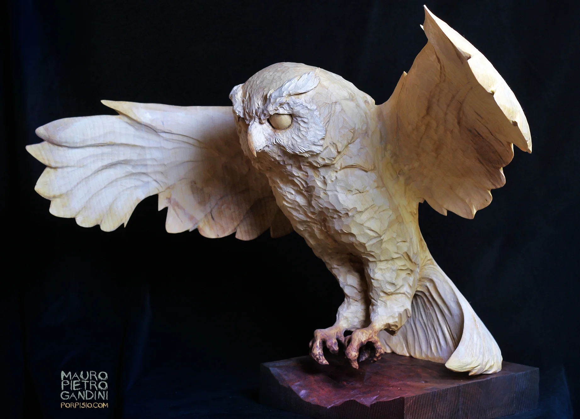 Owl - Gufo, maple wood, realsize