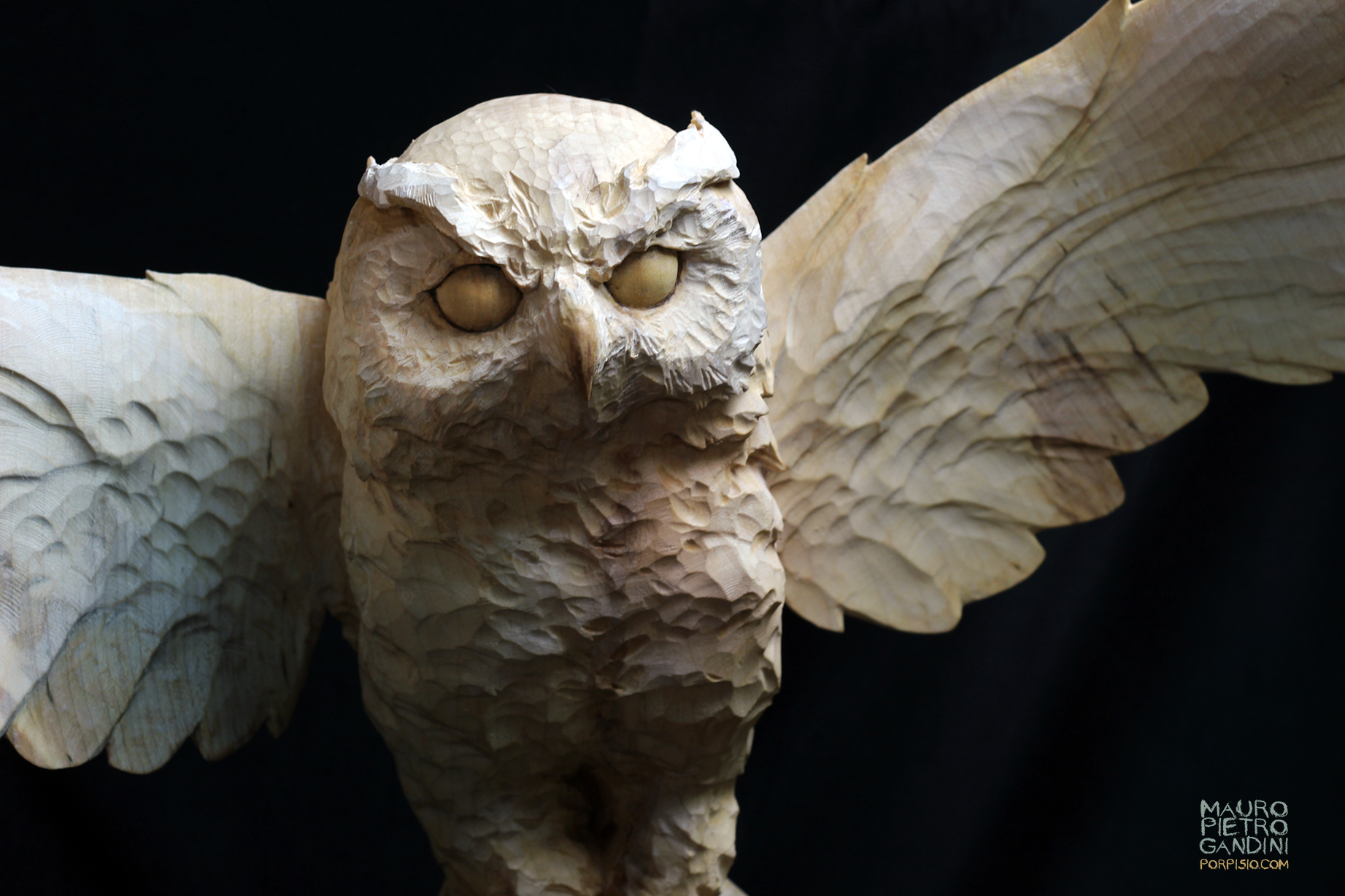 Scultura Owl (gufo) in legno, vista frontale