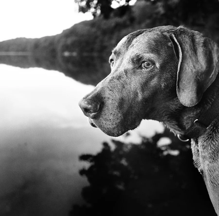 After the Swim.jpg