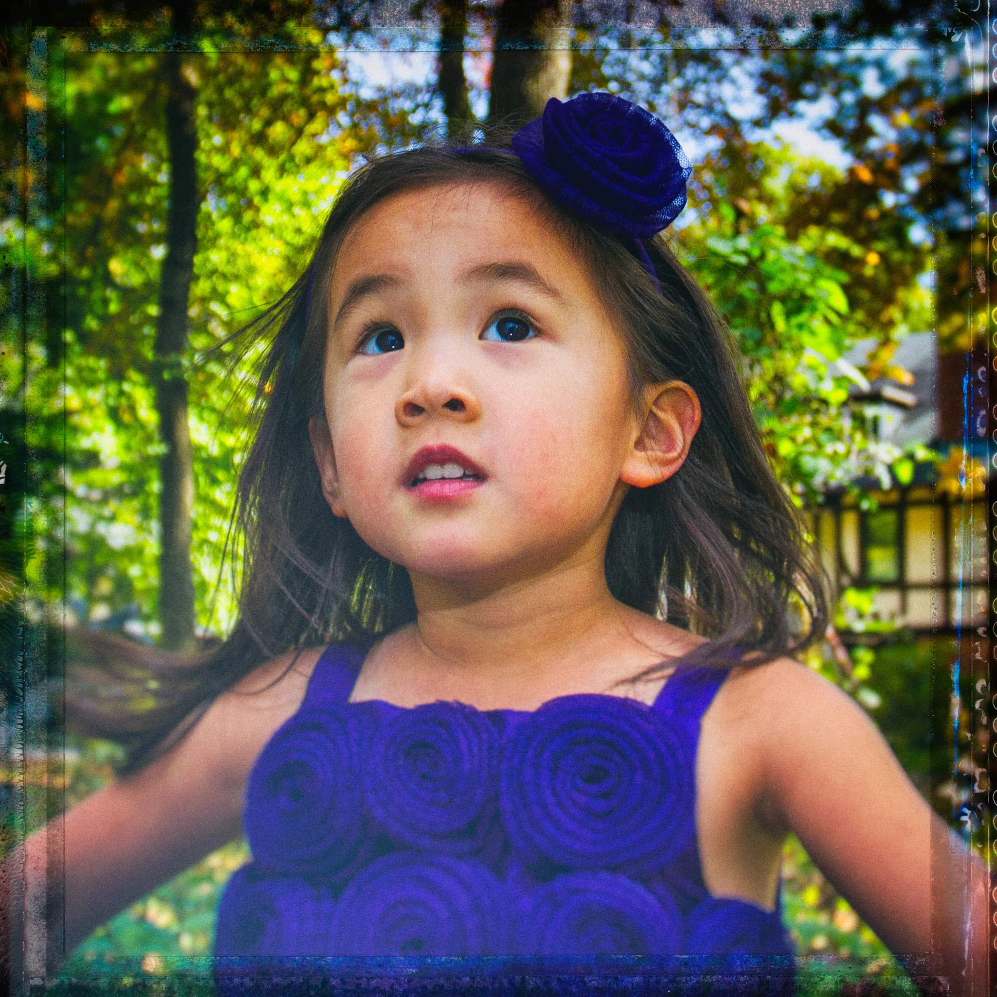 IMG_0950_EMAIL.jpg