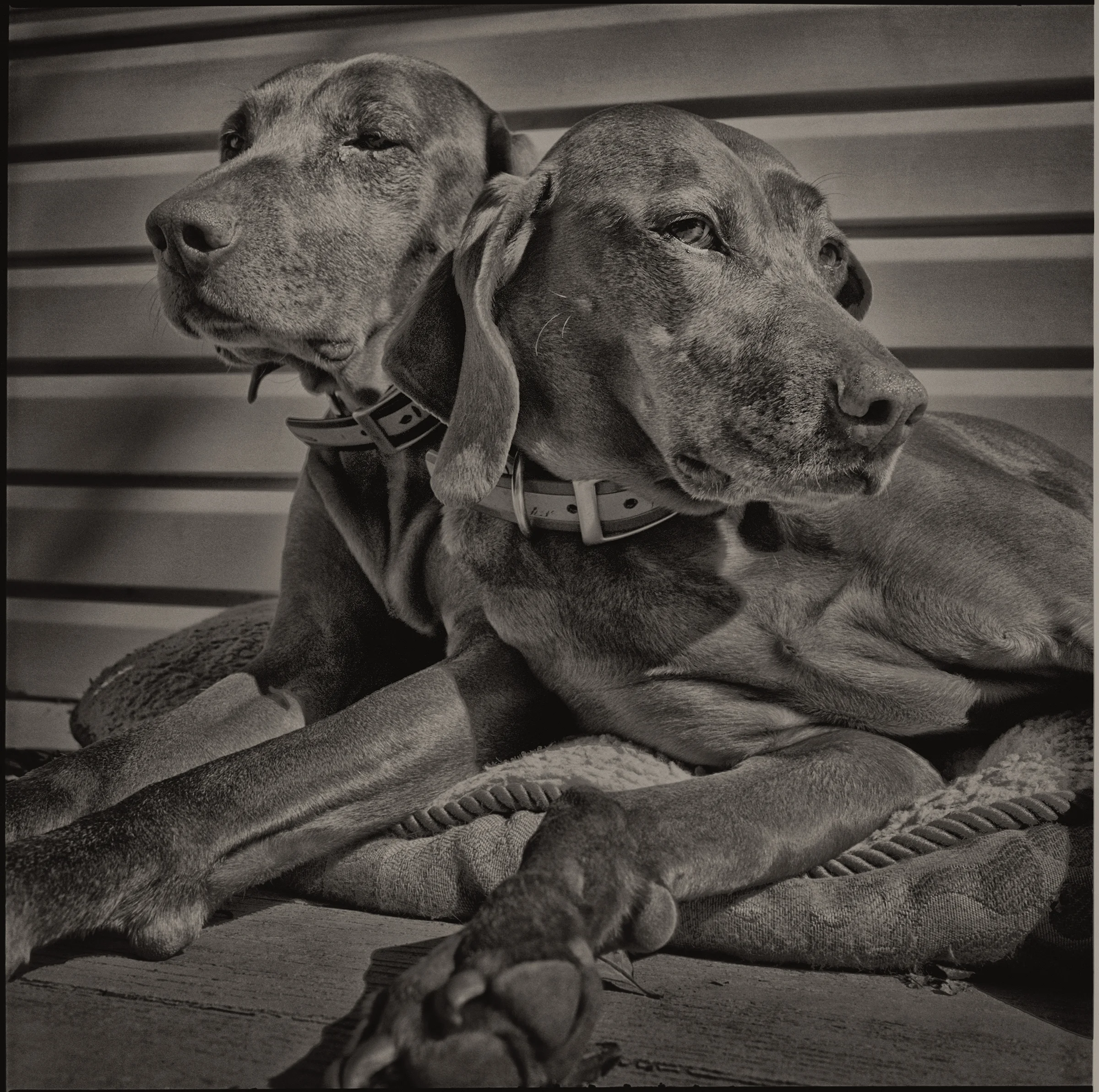 TWINS_6043_031817_EMAIL.jpg