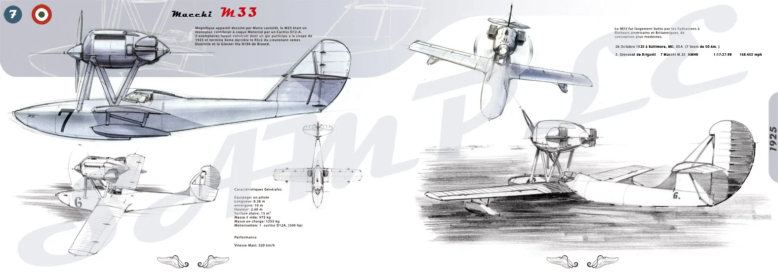 tyrannosaure-net-speedbirds-3.jpg
