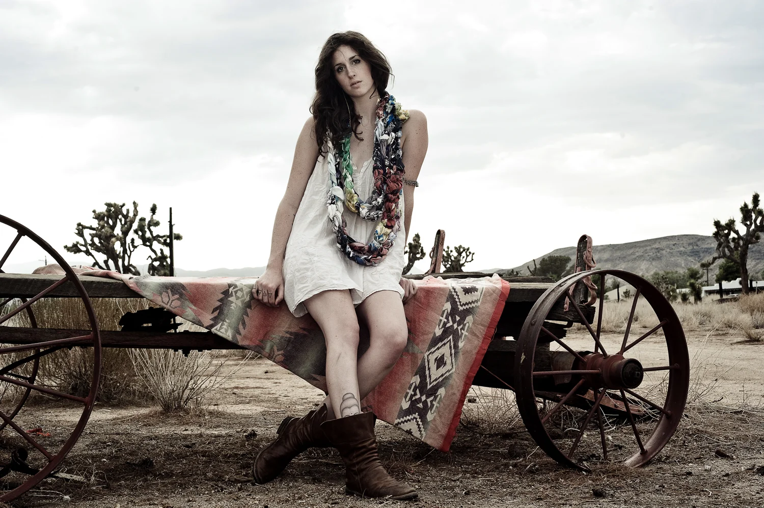SS3-Homepage Slideshow.jpg
