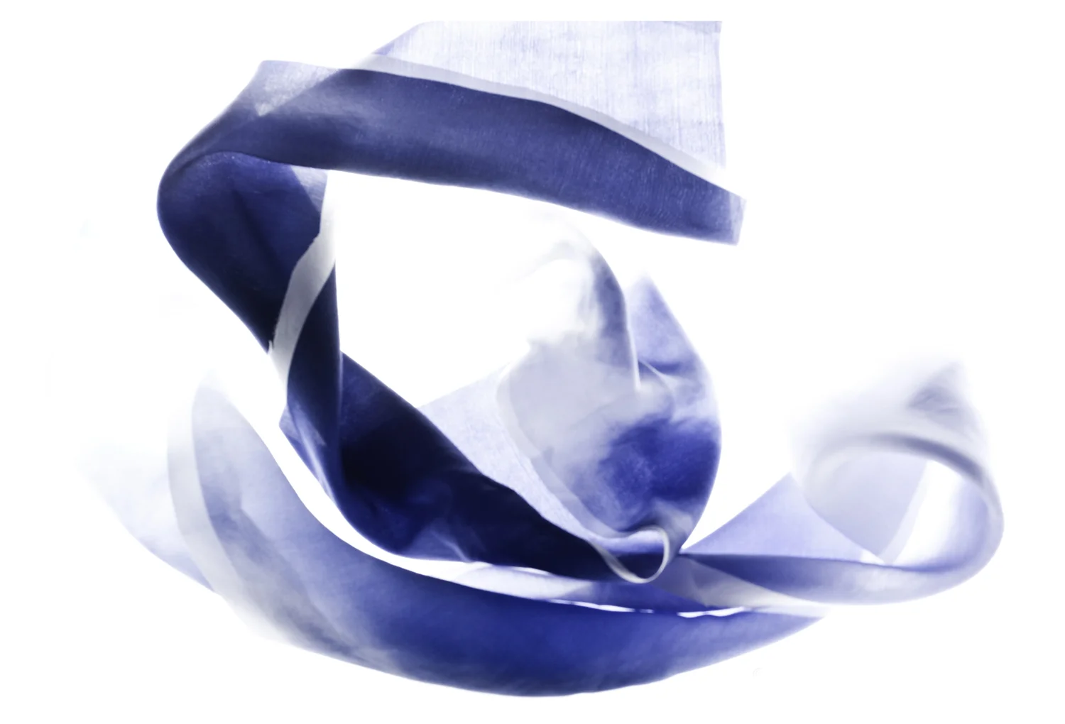 SS12-Homepage Slideshow.jpg