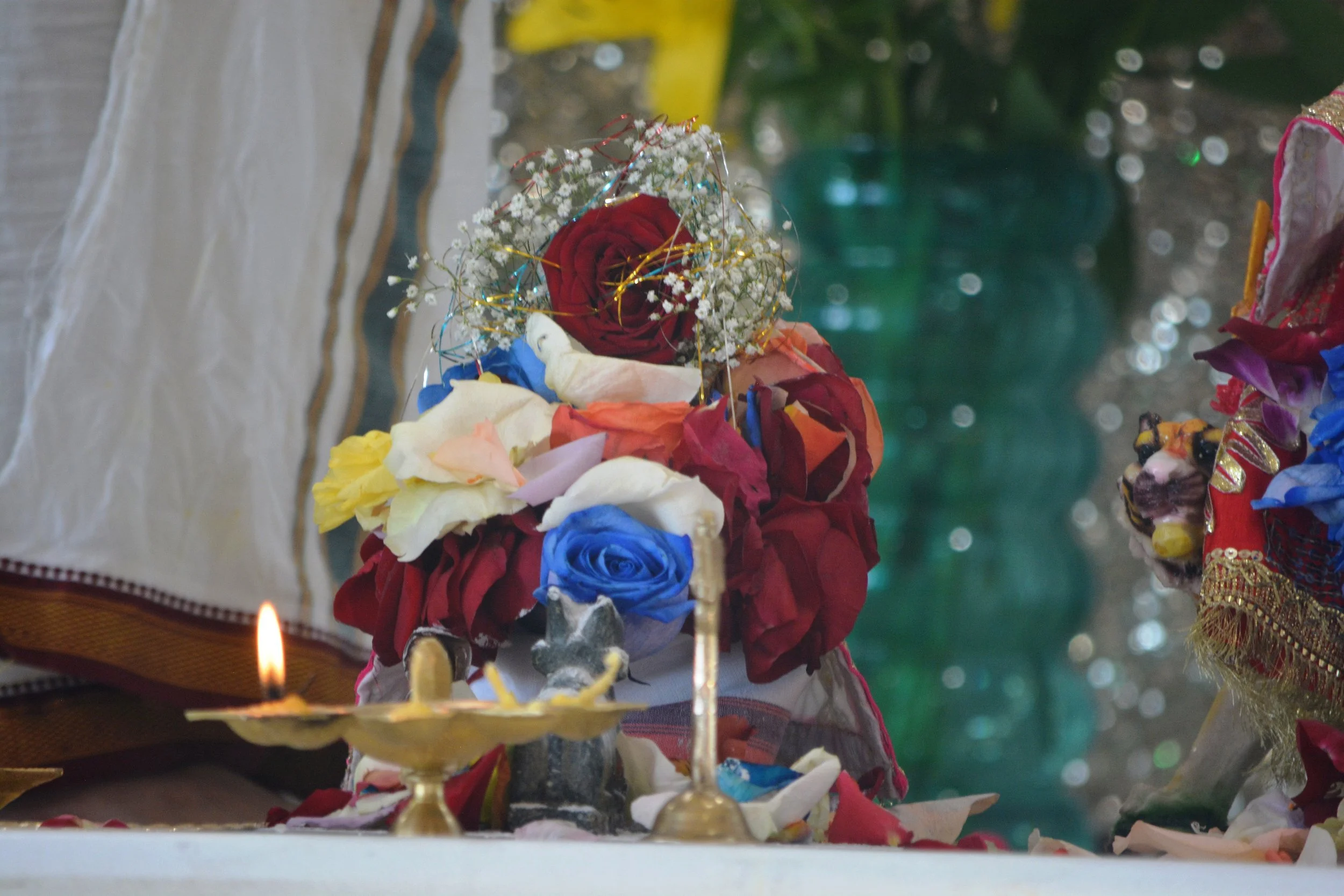DSC_0443.JPG