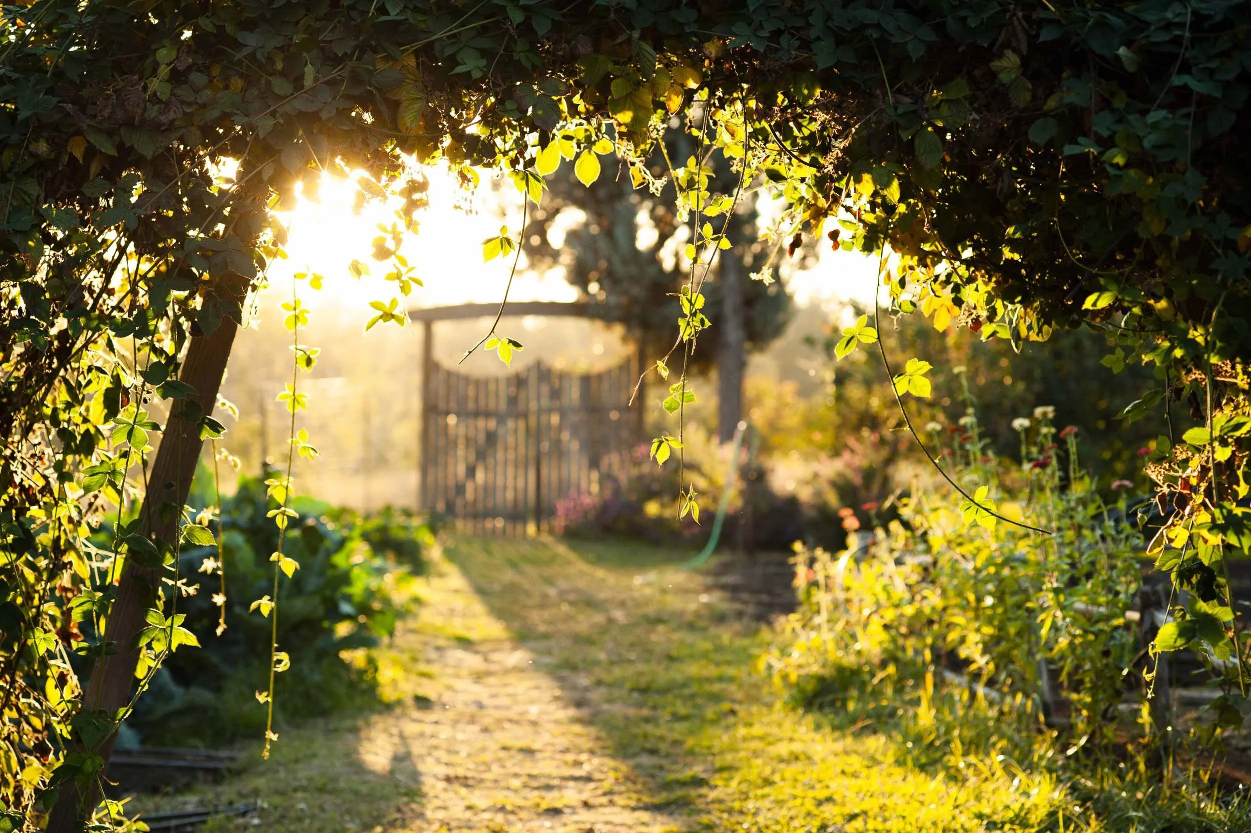 sacramento branding photographer.jpg