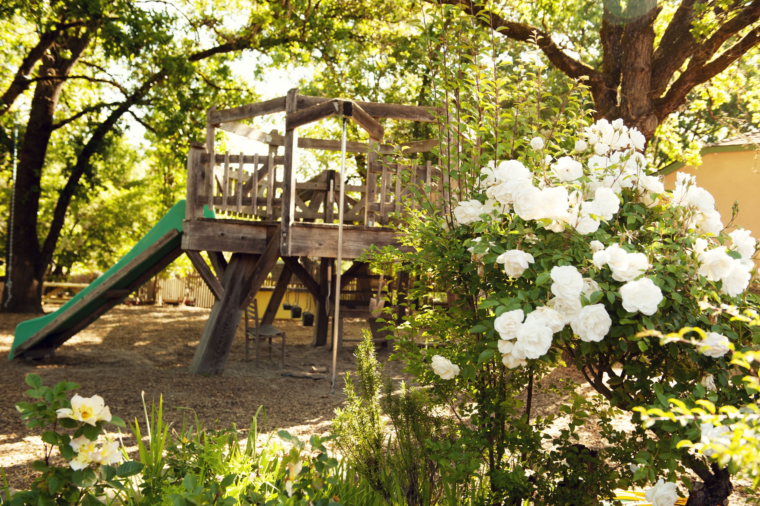 A wooden playset with a green slide and swings is located in a backyard surrounded by trees and white flowering bushes.