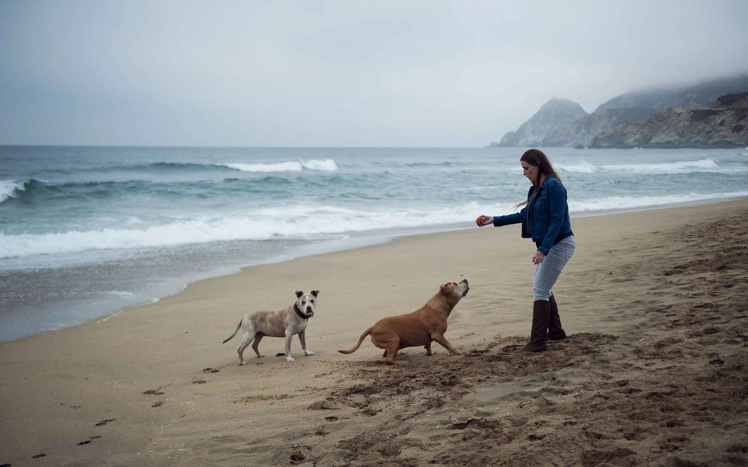 fall mini sessions folsom.jpg