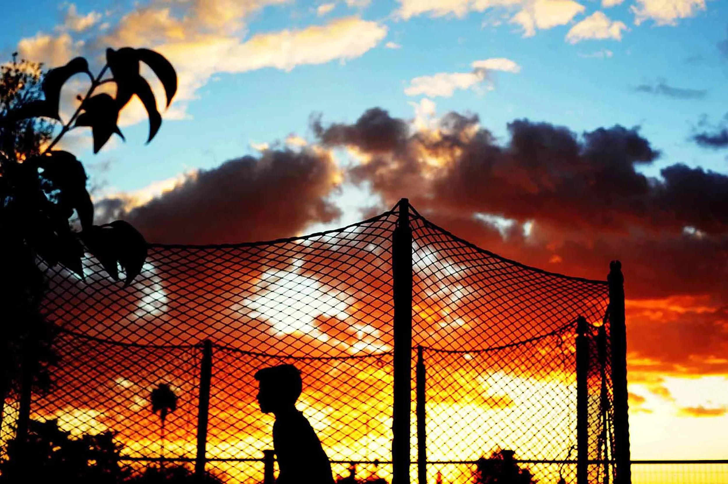 boy bouncing on trampoline in sunset.jpg