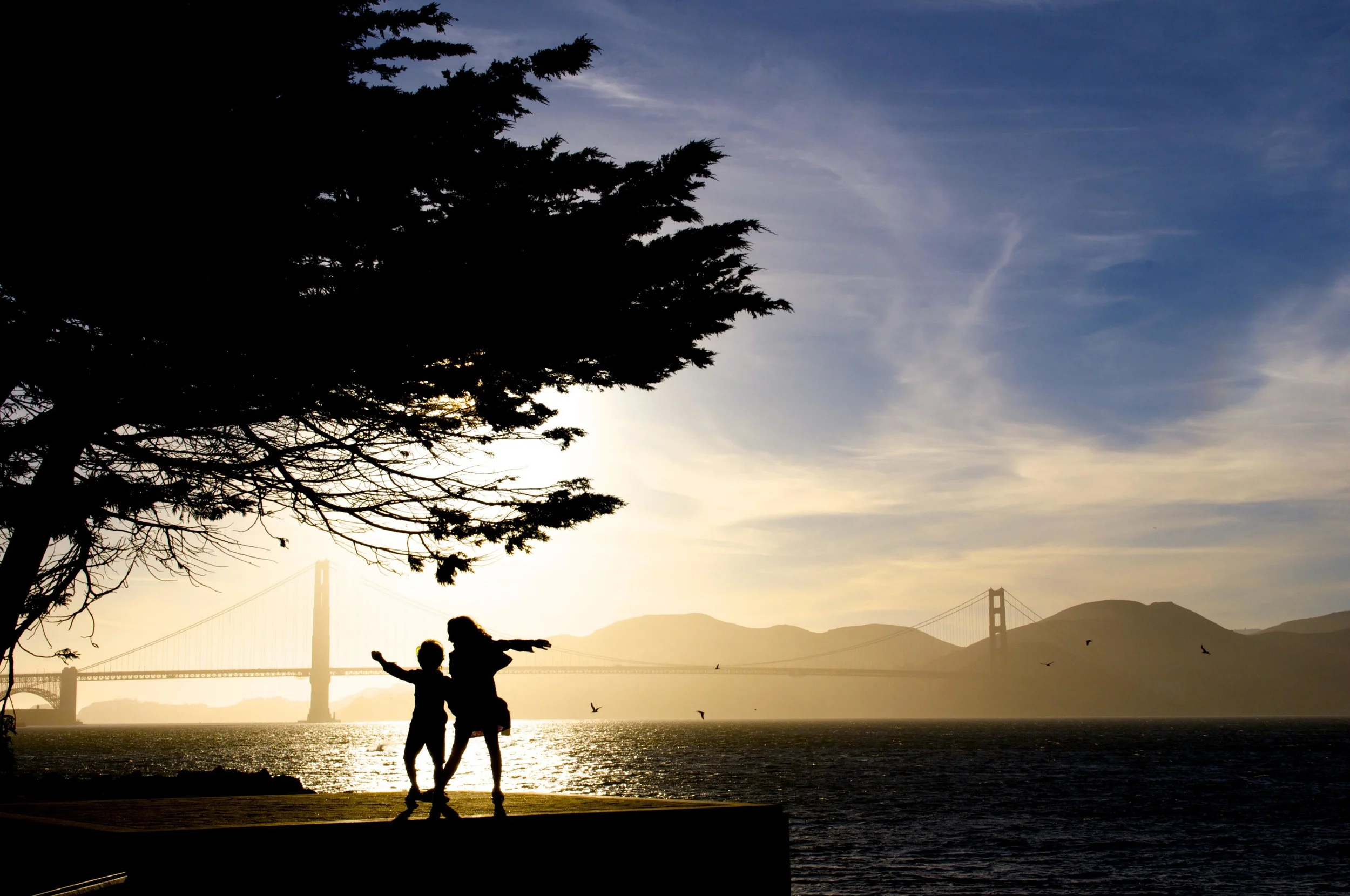 family photographer san francisco bay area.jpg