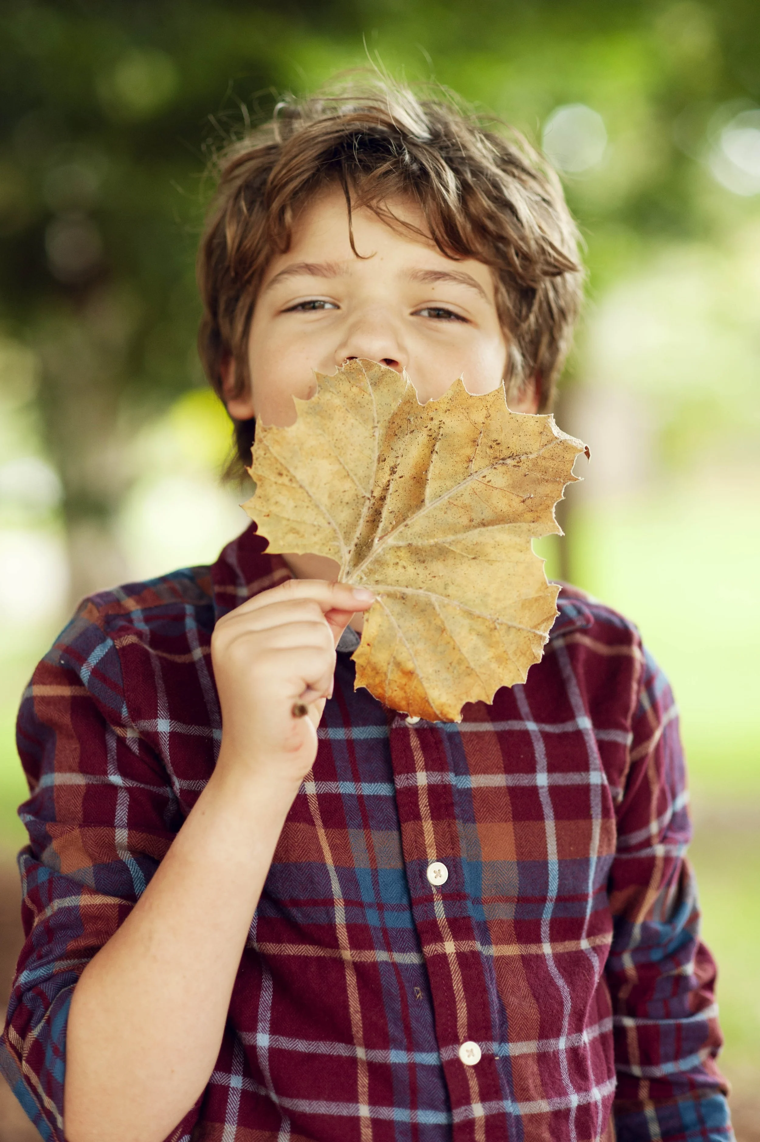 fall_2025_18.jpg
