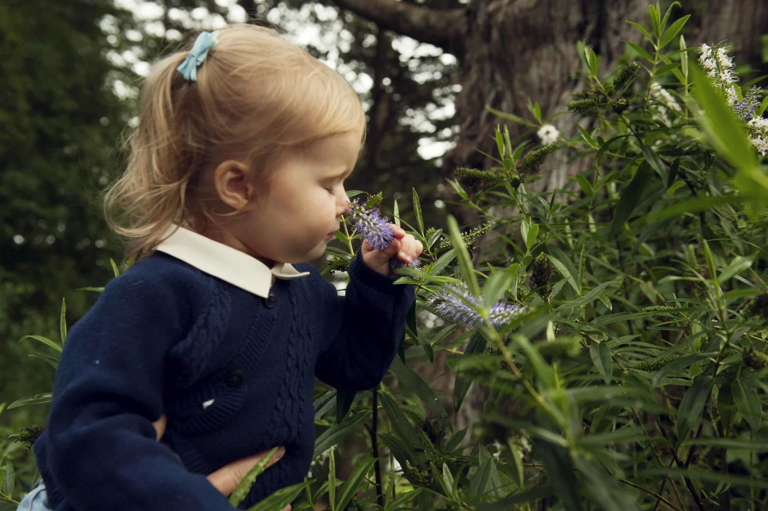 family+photographers+near+me.jpg.webp