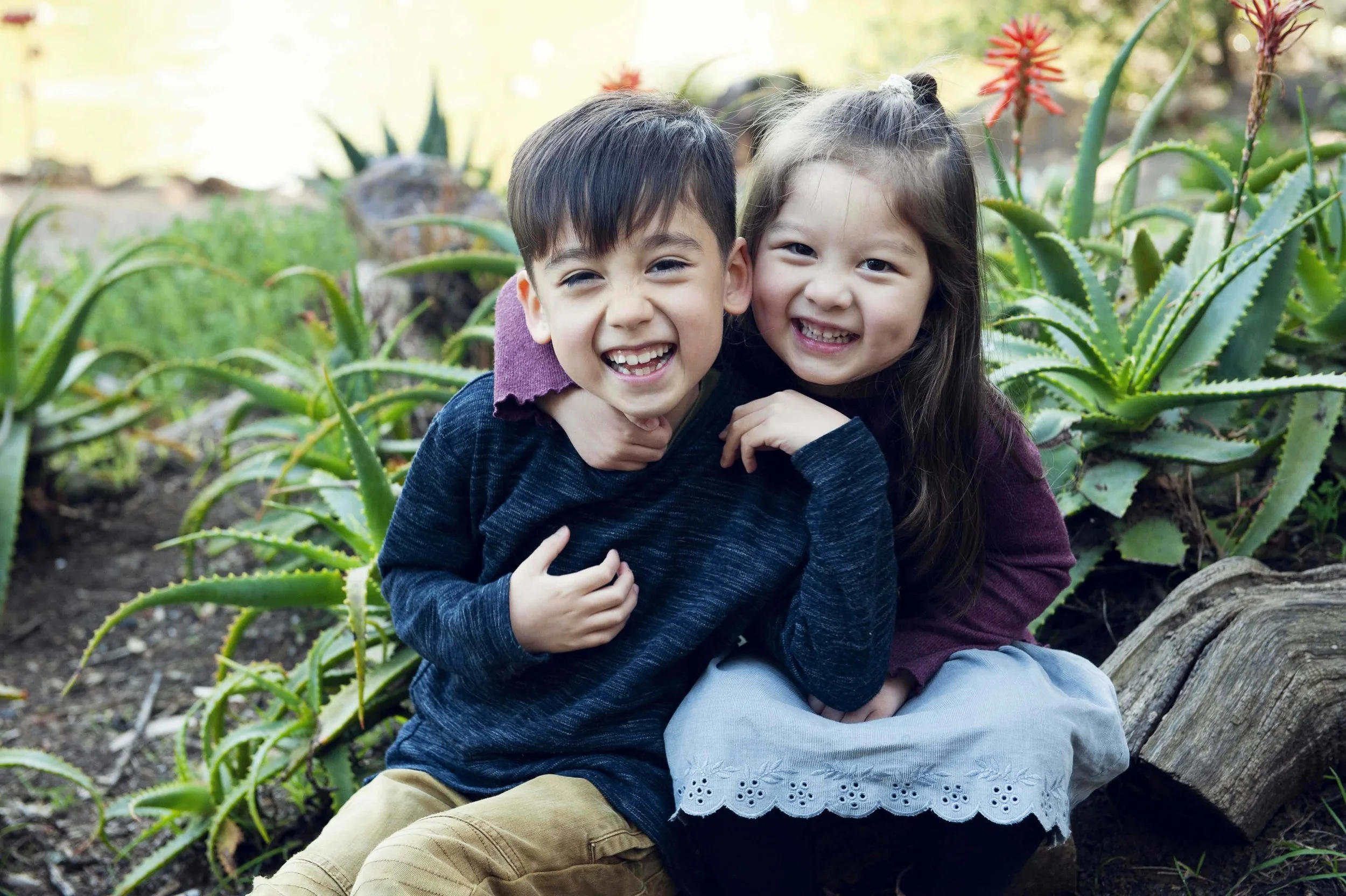 capital rose garden spring portraits.jpg