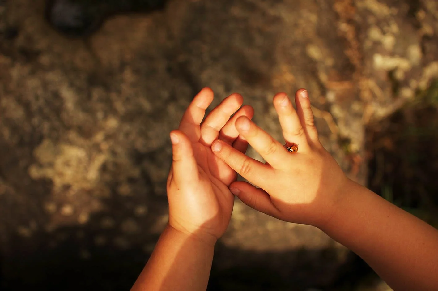 documentary style small business photography.jpg